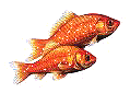 Goldfische